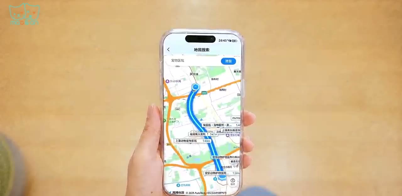 手机 APP 地图页展示附近宠物医院与门店