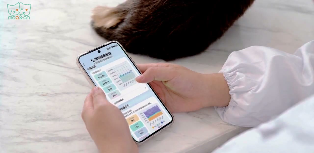 手机 APP 显示宠物健康数据报告与趋势曲线