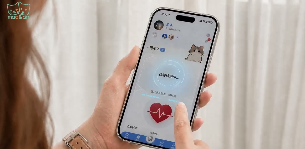手机 APP 显示宠物实时心率数据